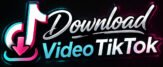 Download Video Tiktok